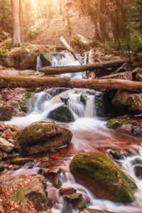 Beautiful mountain waterfalls with long exposure in golden spring sunlight. Ilsefälle of the mountain river Ilse in the Ilsetal in Ilsenburg, National Park Harz, Saxony-Anhalt in Germany Beautiful mountain waterfalls with long exposure in golden spring sunlight. Ilsefälle of the mountain river Ilse in the Ilsetal in Ilsenburg, National Park Harz, Saxony-Anhalt in Germany